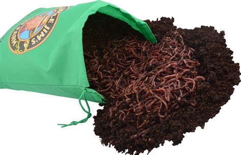 Keep your worms comfortable and thriving. . Uncle jims worm farm